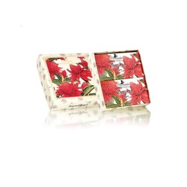 Florinda Gift set 2 x soap Zenzero, each 200 g