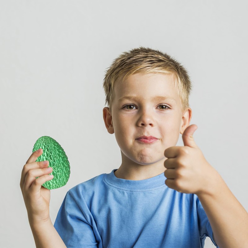 Surprise Dragon Egg with Dragon Inside, Gifts for Children and