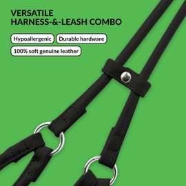 CollarDirect Rolled Leather Dog Harness Small Puppy Step-in Leash Lead Set for Walking 10 Colors (Black, XS)