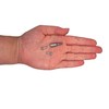SKIR'CO (Pack of 500) Galvanised Steel 3.5 x 12 mm