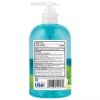 Germ-X Moisturizing Antibacterial Hand Soap, pH Balanced, Spring Rain, 12