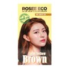Rosé Eco Aloe Hair Color Cream C8 Light Tan /