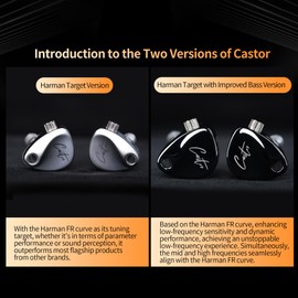 KZ Castor In-Ear Earbuds Wired KZ In-Ear Monitor Earbuds Dual Dynamic Driver for Musician Singer 2dd Tuning Switch Memory Foam Eartips (No Silver Microphone)