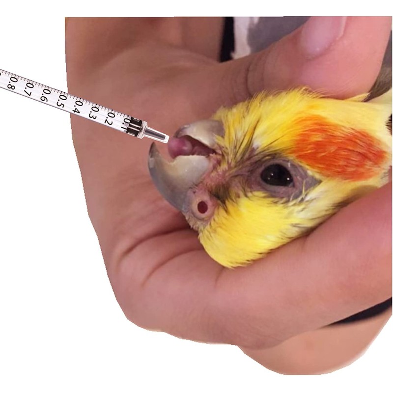 Industrial and Hobby Syringe Pet Feeding 3.3 ft (1 m)