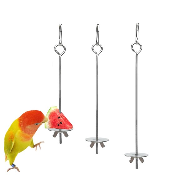 KLEHOPE Bird Skewer, 3 Pieces 304 Stainless Steel Parrot Skewer,