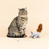 Fringe Studio "ONE TUFF NUT Teaser Cat Toy, PetShop Collection