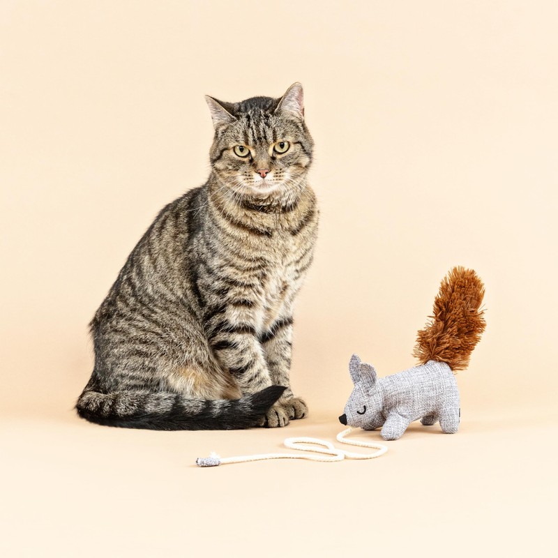 Fringe Studio "ONE TUFF NUT Teaser Cat Toy, PetShop Collection