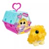 Fotorama Tiernos Pelusines Babies Scruff A Luvs Fotorama 1160