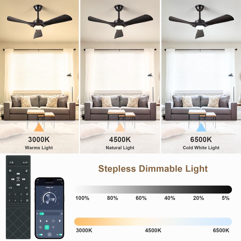 BvenuBigLite Black Ceiling Fan with Light: 42-Inch Ceiling Fan 3
