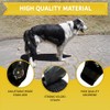 AGON Rodillera para perro Rodillera profesional para perros con estabilizador