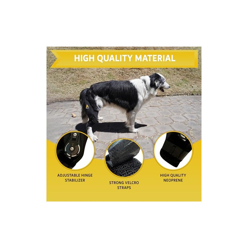 AGON Rodillera para perro Rodillera profesional para perros con estabilizador