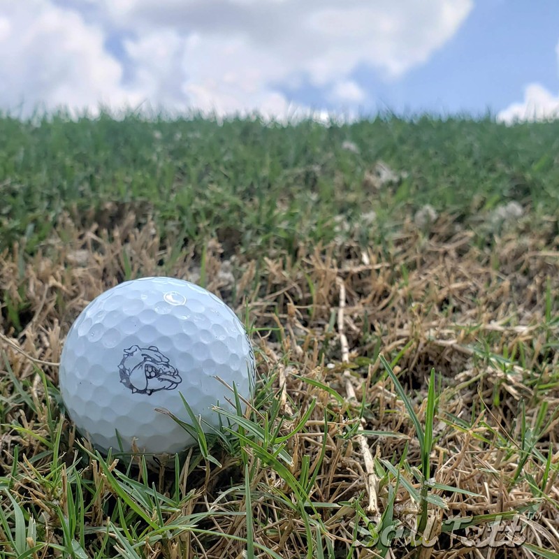 Ball Tatt - Marine Bulldog Golf Ball Stamp, Golf Ball