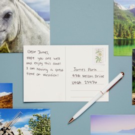 BEST PAPER GREETINGS 4x6 Blank Postcard Set - Photo Postcards for Mailing - Pack of 40, 250gsm, Multi, Wild Animals