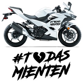 Calcomanía Todas Mienten Sticker Pegatina Adhesiva Vinilo Resistente Agua/UVA para Moto Auto Casco Laptop Universal | 17x9cm (Negro)