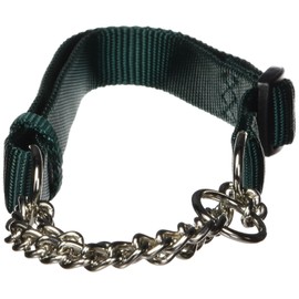 Hamilton Adjustable Combo Choke Dog Collar, Dark Green, Medium, 3/4" x 18-26"