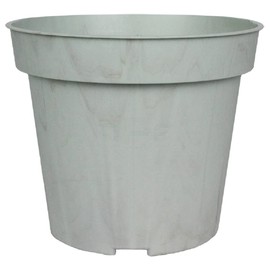 The HC Companies Biopax 4 Inch Eco-Friendly, Biodegradable Plant Pots - Perfect for Seed Starting or Vegetables (Set of 6)