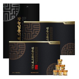 Guangdong Ilpum Energy Refill 60 pills x 2 gift shopping bags included / 광동 일품기력보환 60환 X 2개 선물용 쇼핑백포함