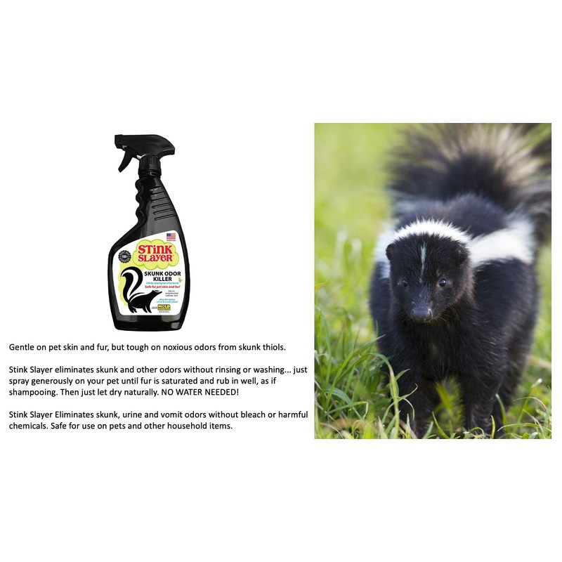Mold Monster Stink Slayer Odor Remover (22 oz) - Eliminate