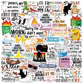 Thrist Funny Sarcastic Stickers - 100PCS Funny Stickers for Books Water Bottles Laptop Phone Guitar Luggage Bumper Humor Gifts Sticker Decals for Teens Women Men