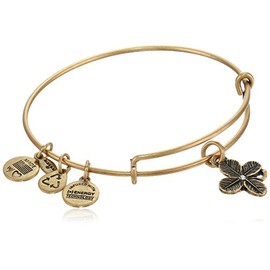 Alex and Ani "Bangle Bar" Lucky Clover Rafaelian Gold-Tone Expandable Wire Bracelet