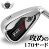 WORLD EAGLE F-01α #5 Iron Right Handed Flex SR