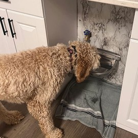 Automatic Animal Waterer Bowl, Upgraded Fully Polished Stainless Steel Farm Livestock Water Dispenser, for Sheep,Horse, Goat, Cattle,Hog and Dogs