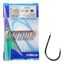 PRO FILSTAR Fishing Hook Set with Leader 10 Pieces, N2 - Tied Hooks with Mono Fishing Line 50 cm, Diameter 0.25 mm - Carp Fishing - Carp Fishing Accessories - Carp Fishing Hooks - Fishing Accessories