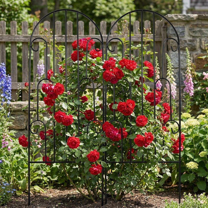 SCENDOR 2 Pack Arched Metal Garden Trellis for Climbing Plants