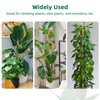 Mcbazel 63 Inch Moss Pole for Plants Monstera, Monstera Plant