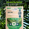 NutriPod for Palms – Precision Pre-Planting Fertilizer, Easy-to-Use Premeasured Nutrient