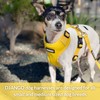 DJANGO Adventure Dog Harness – Comfortable, Durable, and Reflective Neoprene