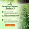 Outsidepride Southern Sweet Spot Seed - 20 lb. Annual, Versatile,
