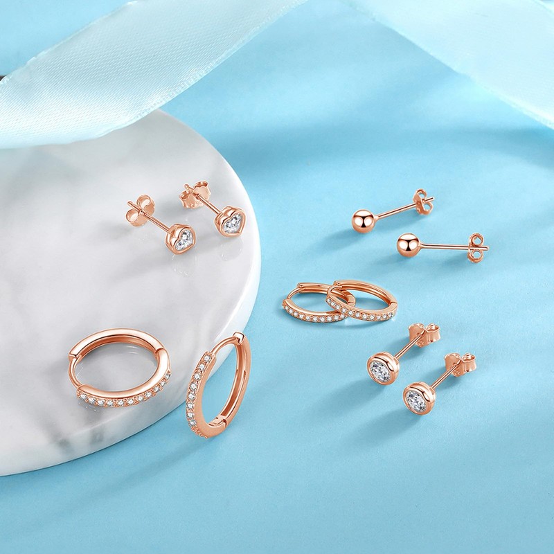 Ecripe 5 Pairs 925 Sterling Silver Small Earring Set for