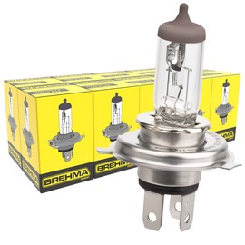 BREHMA 10x H4 Halogen Bulb 12 Volt 60/55 Watt P43t