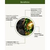 Kit Anticaspa Shampoo Y Acondicionador Sólido - Nuneth