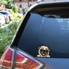 Sticker Gold - Peeping Pug 17cm Car Sticker - Cute,