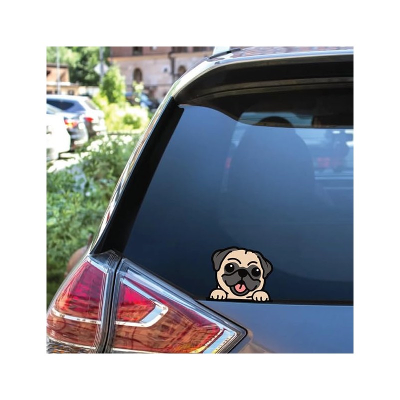 Sticker Gold - Peeping Pug 17cm Car Sticker - Cute,