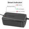 36V 3A Lead Acid Battery Charger for GT GT750 IZIP