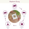Elephant Dung Notebook | Handmade, Fair Trade & Eco Friendly