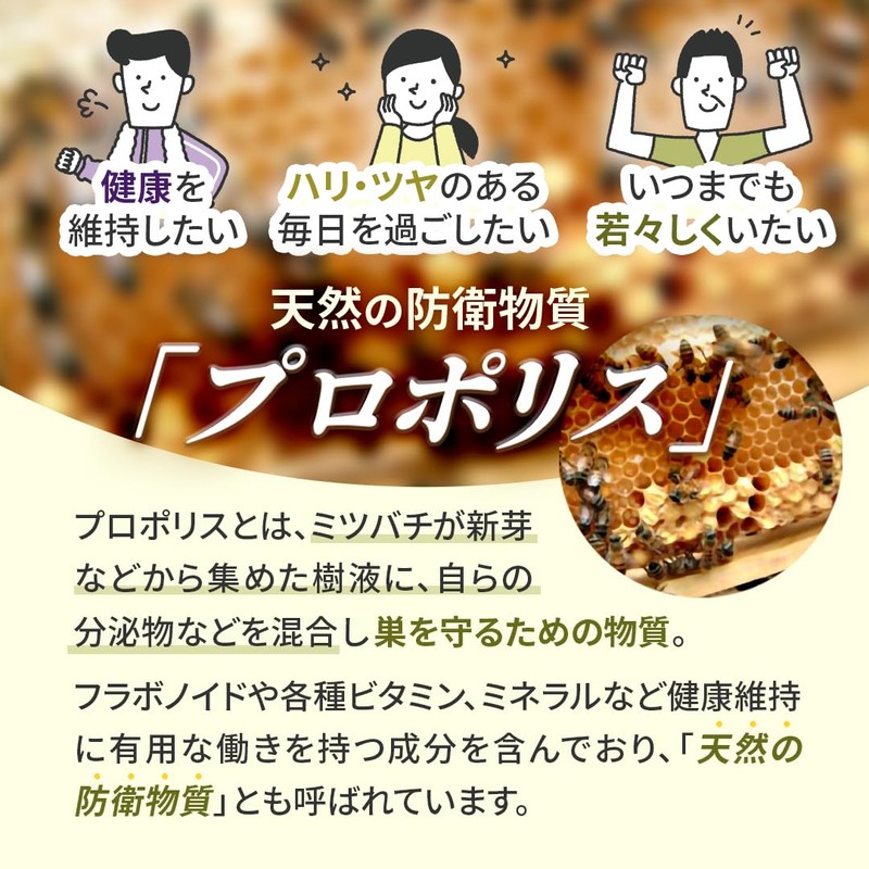 【GMP認定工場製造】プロポリス グリーンプロポリス カプセル ブラジル産 プロポリファイブ 約2か月分 200mg 個包装