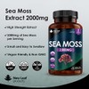 Sea Moss Tablets Extract High Strength 2000mg - Sea Moss