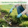 Gardenia Iron Weeding rake,Iron rake 2.0 for Gardening and Weeding,