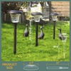 GIGALUMI 8 Pack Solar Pathway Lights, Solar Garden Lights Outdoor