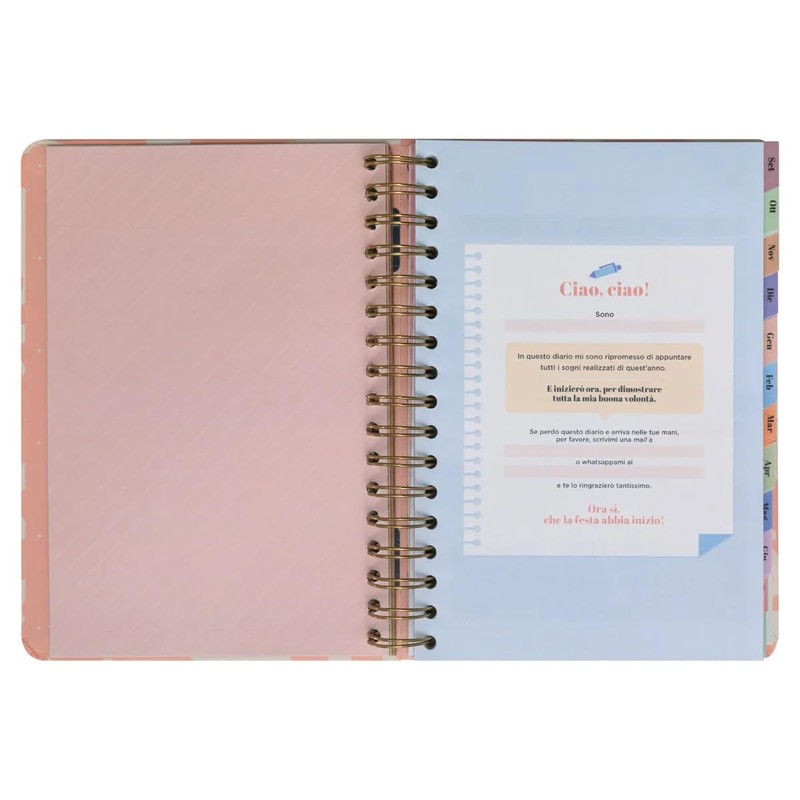 Mr.Wonderful 2024-25 Daily Office School Diary - Every day brings