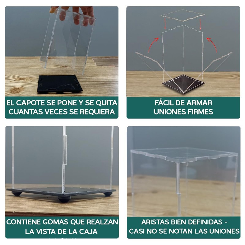THE DISPLAY BOX CO | Caja de Acrílico Exhibición Vitrina
