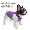 Lovelonglong 2019 Summer Pet Clothing, Dog Clothes Blank T-Shirts Ribbed