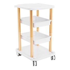 4-Tier Salon Rolling Cart, 4 Large Capacity Facial Tray, Rolling Beauty Trolley for Storing Equipment and Tools, Movable Storage Trolley for Beauty Salon, Spa, Office, footprint:19*15 in (white,Gold)