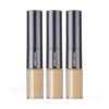 The Saem (Hyundai Hmall) The Saem Cover Perfection Ideal Concealer