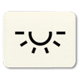 Jung Button Symbol 33 L