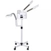 SEGAWE 3 in 1 Stainless Steel Facial Steamer and LED